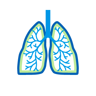 Противовоспалительное действие: