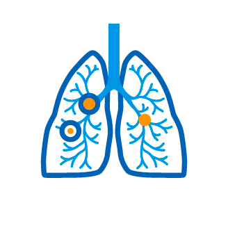 Антиоксидантное действие: